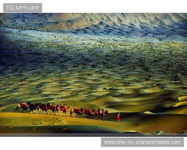 新疆逆境反击,奇迹突破!,新疆71 新疆逆境反击,奇迹突破!,新疆71