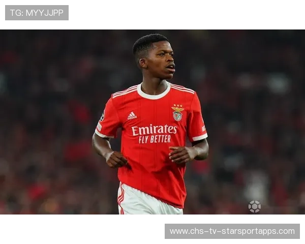 本菲卡或迎布兰特加盟，阵容再升级，本菲卡球员名单