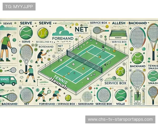网球比赛技术动作效率可视化分析 网球比赛技术动作效率可视化分析